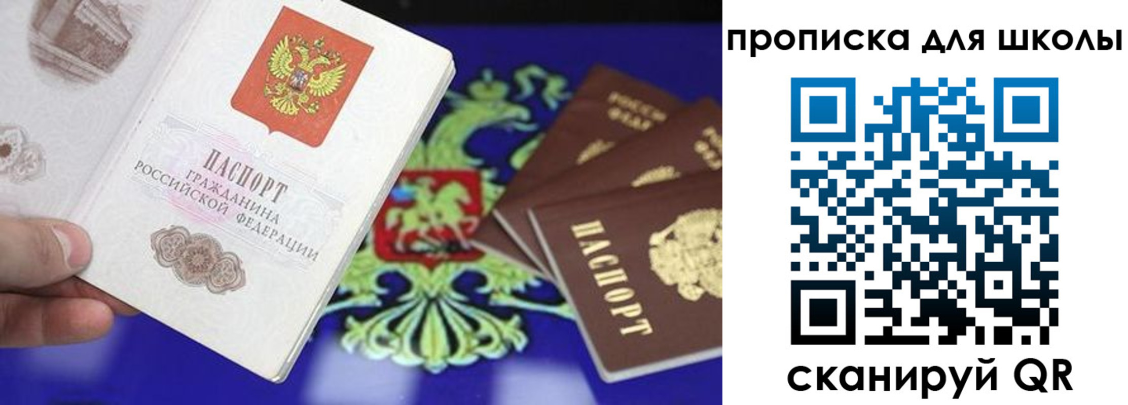прописка в квартире в Сертолово